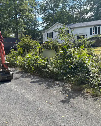 Before: overgrown front beds