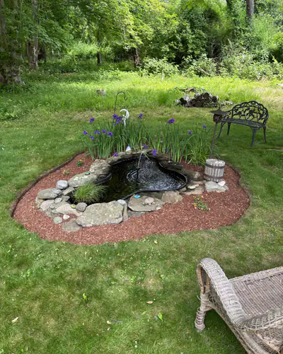 Mulch ring with a natural edge around a pond
