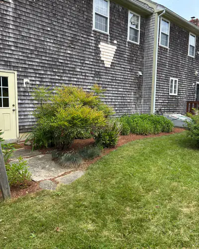 Mulch bed with a natural cut edge