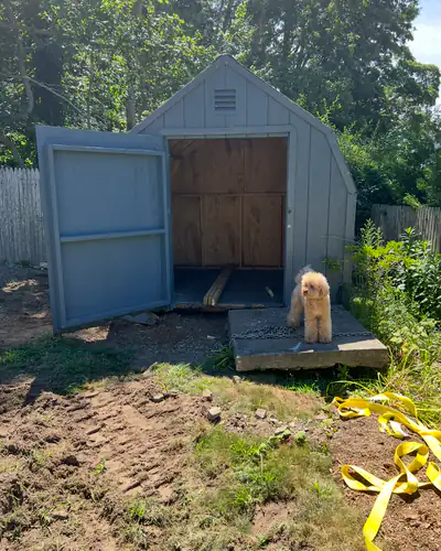 Old shed before removal
