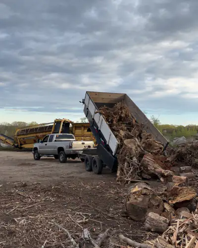 Dumping a trailer of stumps and brush