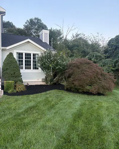 After: side beds trimmed and freshly mulched