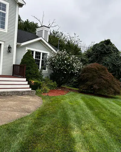 Before: faded mulch around the side beds